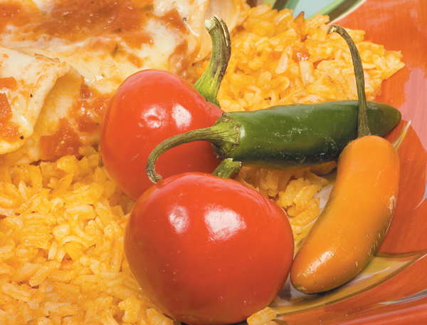 Chicken Enchilada Casserole